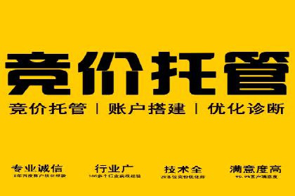 探索SEM优化托管的成功案例与策略